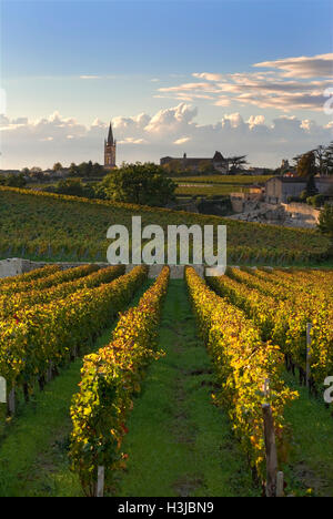 SAINT EMILION ST-EMILION WEINBERG ZEILEN REBEN Blick auf Dorf von Saint Emilion bei Sonnenuntergang von der Weinberg des Chateau Troplong Mondot gironde Frankreich Stockfoto