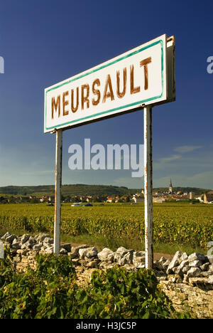 Meursault Schild mit Weinbergen, Dorf und Kirche hinter, Cote d ' or Burgund Frankreich Stockfoto