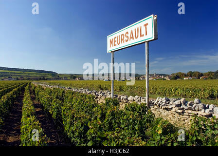 Meursault Schild mit Weinbergen, Dorf und Kirche hinter, Cote d ' or, Frankreich Stockfoto