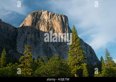 El Capitan, Yosemite-Nationalpark, Kalifornien, USA Stockfoto