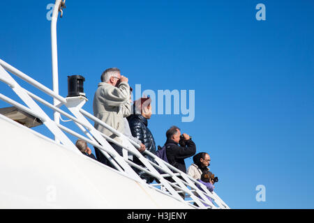 Passagiere auf dem hinteren Deck eine Passagierfähre beobachten das Festland, Australien Stockfoto