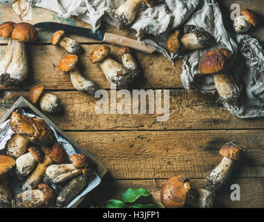Kopieren Sie frisch gepflückt ungekocht weißen Waldpilze, grüne Blätter und Messer auf rustikalen hölzernen Hintergrund, Draufsicht, Raum, horizo Stockfoto