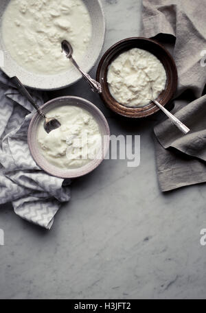 Joghurt in Schalen Stockfoto