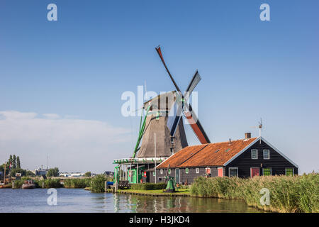 Traditionelle holländische Windmühle an der Zaan in Zaanse Schans, Niederlande Stockfoto