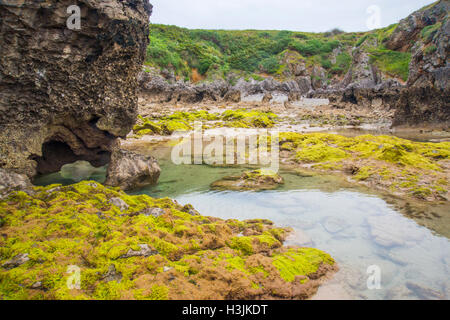 Ebbe und Felsen. Torimbia Strand, Niembro, Asturien, Spanien. Stockfoto