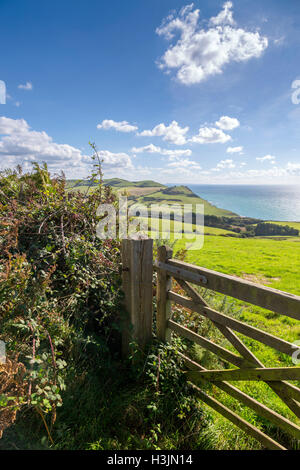 Die Ansicht der Jurassic Coast vom Rand der Langdon Woods oben einladendsten, Dorset, England, UK Stockfoto