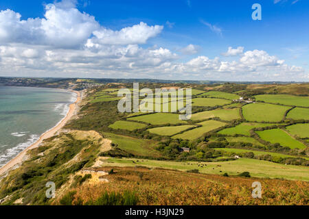 Blick nach Westen vom Gipfel des goldenen GAP Charmouth auf der Jurassic Coast, Dorset, England, UK Stockfoto