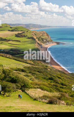 Wanderer, Abstieg vom Gipfel des Golden Cap auf die SW Coast Path, Jurassic Coast, Dorset, England, UK Stockfoto