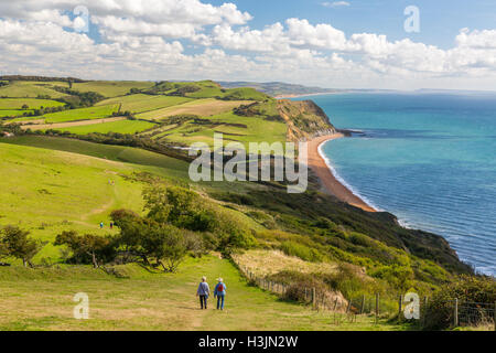 Wanderer, Abstieg vom Gipfel des Golden Cap auf die SW Coast Path, Jurassic Coast, Dorset, England, UK Stockfoto