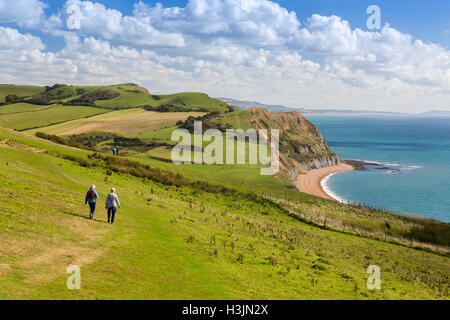 Wanderer, Abstieg vom Gipfel des Golden Cap auf die SW Coast Path, Jurassic Coast, Dorset, England, UK Stockfoto