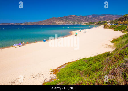 Schöner Sandstrand mit Felsen und Tourquise klares Wasser in Golfe de Sagone, Korsika, Frankreich. Stockfoto