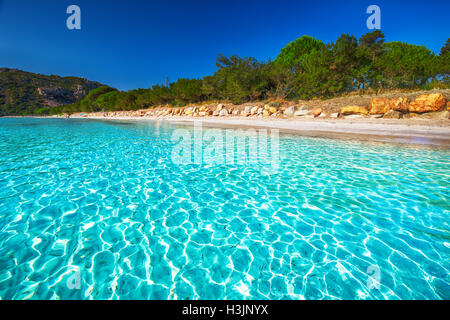 Strand von Santa Giulia mit roten Felsen, Kiefern und Azure klares Wasser, Korsika, Frankreich. Stockfoto