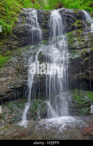 USA, Washington, San Juan Islands, Orcas Island, Moran State Park, Cascade Falls im Frühjahr. Stockfoto