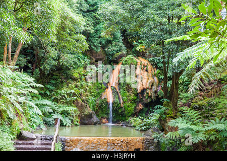 Natürlichen Park Caldeira Velha bei Ribeira Grande Stadt, Insel Sao Miguel, Azoren, Portugal Stockfoto