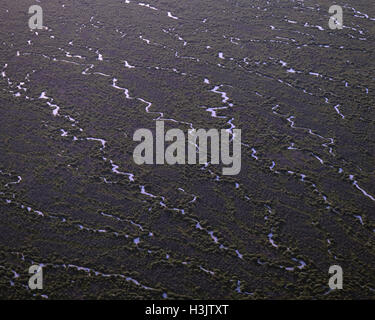 Sanddünen nach Regen, Stockfoto
