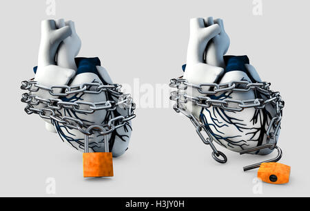 3D Darstellung der Anatomie Lock und Unlock Menschenherz - isoliert auf grau Stockfoto