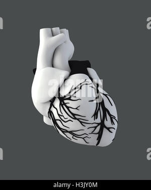 3D Darstellung der Anatomie Menschenherz - isoliert auf grau Stockfoto