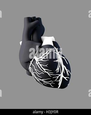 3D Darstellung der Anatomie Menschenherz - isoliert auf grau Stockfoto