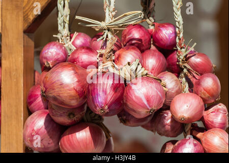 Rote Zwiebel Zöpfen in Italien in den Bauernmarkt verkauft. Stockfoto