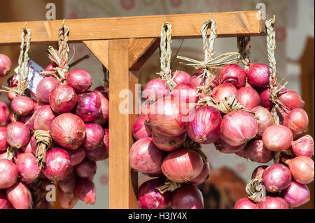 Rote Zwiebel Zöpfen in Italien in den Bauernmarkt verkauft. Stockfoto