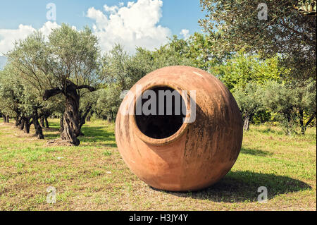 Große Terrakotta-Gefäß für Olivenöl und Bäume im Feld Stockfoto