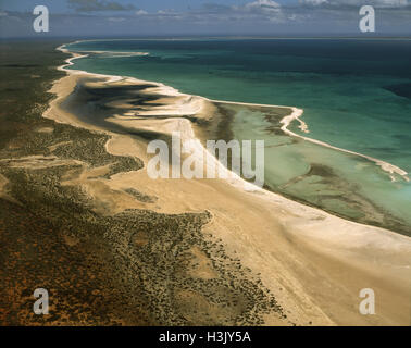 Shell Beach entlang Lharidon Bight, Stockfoto