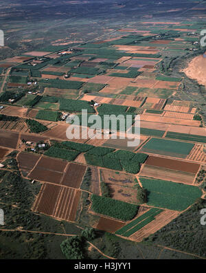 Antenne: Obst- und Gemüsekulturen. Stockfoto