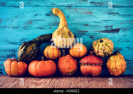 eine Auswahl an verschiedenen Kürbisse auf einer rustikalen Holzoberfläche auf blauem Grund aus Holz Stockfoto