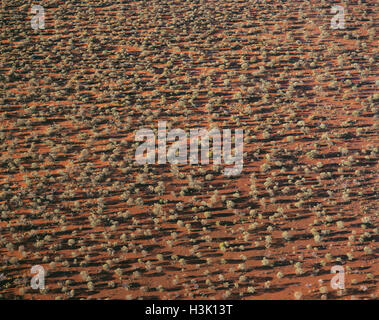 Große Victoria-Wüste, Stockfoto