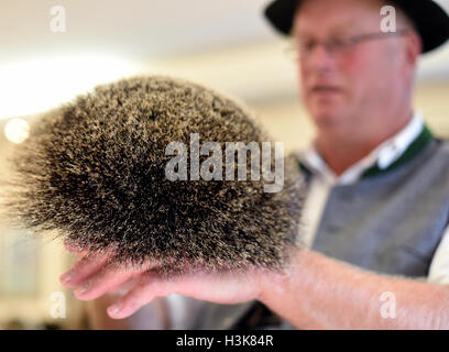 Mittenwald, Deutschland. 9. Oktober 2016. Mitglied der Jury überprüfen ein Gamsbart (buchstäblich, "Gams Bart"), ein Büschel Haare traditionell entnommen wie eine Jagdtrophäe Gemsen, eine Ziege-ähnliches Tier allgemein gefunden in den alpinen Regionen in Mittenwald, Deutschland, 9. Oktober 2016. Der 28. Gamsbart-Olympiade schließt Kategorien für dekorative Pinsel von Hirschen, Gämsen und Dachse. Foto: Angelika Warmuth/Dpa/Alamy Live News Stockfoto