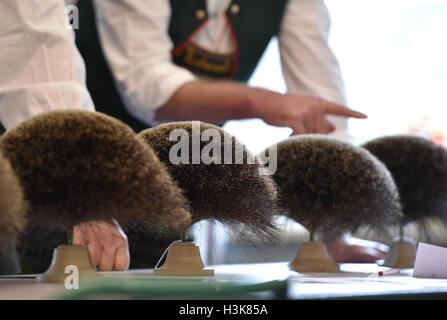 Mittenwald, Deutschland. 9. Oktober 2016. Mitglieder der Jury überprüfen Gamsbaerte (buchstäblich, "Gemsen Bärte"), Haarbüschel traditionell entnommen wie eine Jagdtrophäe Gemsen, eine Ziege-ähnliches Tier allgemein gefunden in den alpinen Regionen in Mittenwald, Deutschland, 9. Oktober 2016. Der 28. Gamsbart-Olympiade schließt Kategorien für dekorative Pinsel von Hirschen, Gämsen und Dachse. Foto: Angelika Warmuth/Dpa/Alamy Live News Stockfoto