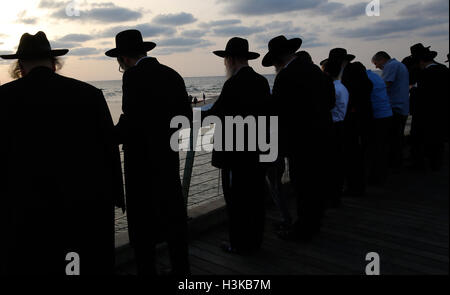 Tel Aviv, Israel. 9. Oktober 2016. Ultra-orthodoxe Juden beten, wie sie in Tashlich am Ufer des Mittelmeers in Tel Aviv, Israel, 9. Oktober 2016 teilnehmen. Tashlich ist ein Ritual, während die Gläubigen ihre Sünden in das Wasser und die Fische gegossen, und es erfolgt vor der Versöhnungstag oder Yom Kippur, der wichtigste Tag des jüdischen Kalenders. Bildnachweis: Gil Cohen Magen/Xinhua/Alamy Live-Nachrichten Stockfoto