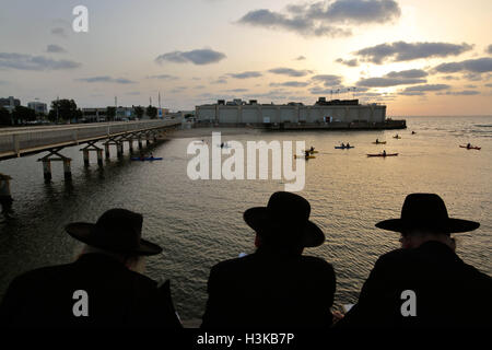 Tel Aviv, Israel. 9. Oktober 2016. Ultra-orthodoxe Juden beten, wie sie in Tashlich am Ufer des Mittelmeers in Tel Aviv, Israel, 9. Oktober 2016 teilnehmen. Tashlich ist ein Ritual, während die Gläubigen ihre Sünden in das Wasser und die Fische gegossen, und es erfolgt vor der Versöhnungstag oder Yom Kippur, der wichtigste Tag des jüdischen Kalenders. Bildnachweis: Gil Cohen Magen/Xinhua/Alamy Live-Nachrichten Stockfoto