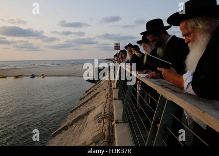 (Tel Aviv, Israel. 9. Oktober 2016. Ultra-orthodoxe Juden beten, wie sie in Tashlich am Ufer des Mittelmeers in Tel Aviv, Israel, 9. Oktober 2016 teilnehmen. Tashlich ist ein Ritual, während die Gläubigen ihre Sünden in das Wasser und die Fische gegossen, und es erfolgt vor der Versöhnungstag oder Yom Kippur, der wichtigste Tag des jüdischen Kalenders. (Xinhua/Gil Cohen Magen) (Wtc) Stockfoto