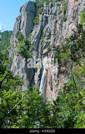 Wasserfall und Canyon Piscia di Gallo, Korsika, Frankreich Stockfoto