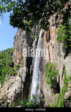 Wasserfall und Canyon Piscia di Gallo, Korsika, Frankreich Stockfoto