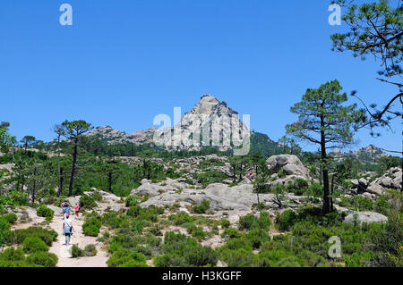 Wanderweg, Piscia di Gallo, Berglandschaft mit Punta di u Diamante, Ospedale, Alta Rocca, Korsika, Frankreich Stockfoto