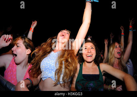 BENICASSIM, Spanien - Juli 19: Menge in einem Konzert am FIB Festival am 19. Juli 2014 in Benicassim, Spanien. Stockfoto