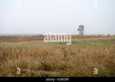 Hölzernen Wachturm Nr. 4 in der besonderen Natur Reserve Deliblato Sands. Stockfoto