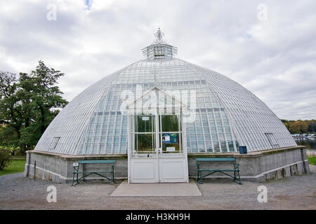 Die Victoria-Gebäude-Kuppel förmigen Glas-Gewächshaus im Garten Bergianska Stockholm an einem bewölkten Tag im Oktober 1900 erbaut Stockfoto