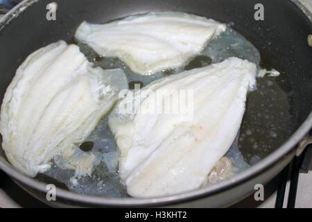 Filets von Scholle in der Küche in einer Pfanne Stockfoto