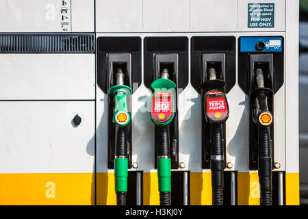 Shell Benzin Pumpen London Vereinigtes Königreich Stockfoto