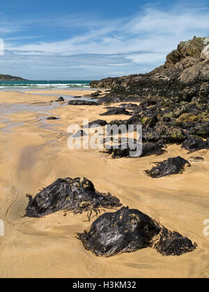 Herrlichen Sandstrand an der Kiloran Bay auf der Hebridean Insel Colonsay, Scotland, UK Stockfoto