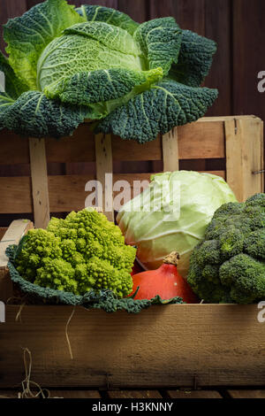 Grün und orange frisches Gemüse im Holzkasten, Ernte - Wirsing, grüner Blumenkohl, Karotten, Brokkoli, Kürbis Stockfoto