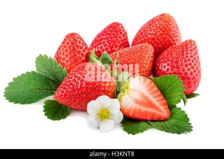Erdbeere. Bio-Erdbeeren mit Blättern und Pflanze Blume Isoalted auf weiß. Stockfoto