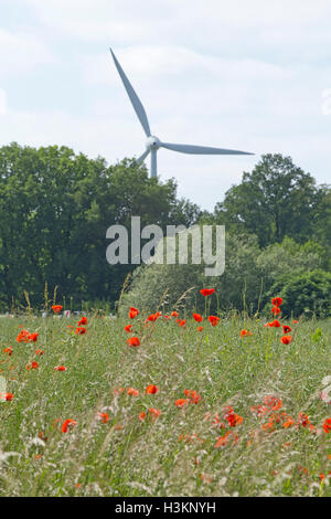 gemeinsamen Mohn (Papaver Rhoeas) vor Wind Power station Stockfoto