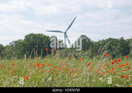 gemeinsamen Mohn (Papaver Rhoeas) vor Wind Power station Stockfoto