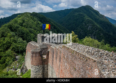 Poenari Burg Poenari Zitadelle fordert auch Plateau des Mount Cetatea, Rumänien, einer der wichtigsten Festung von Vlad III Pfähler Stockfoto