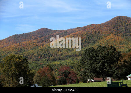 Herbstlandschaft in Blue Ridge Mountains, Virginia, USA Stockfoto