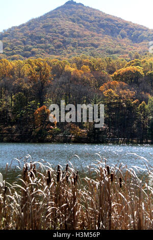 Virginia, USA. Anzeigen von Abbott See und scharfe Spitze im Herbst. Stockfoto